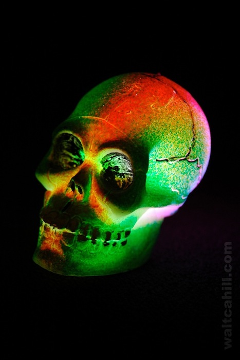 Skull: Skull. A friend of mine