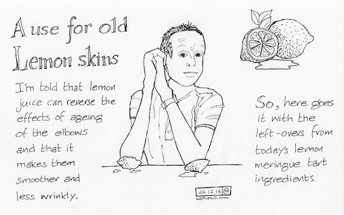 A Use For Old Lemon Skins