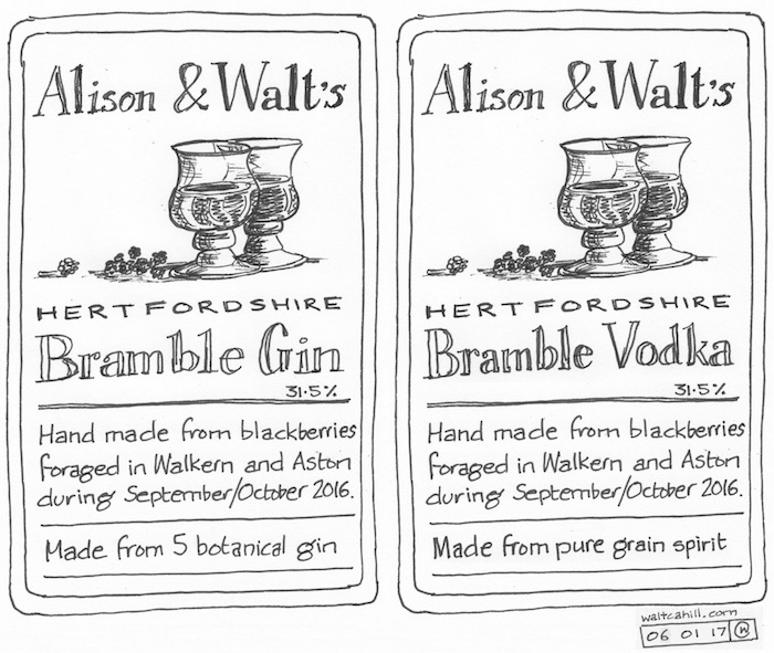Blackberry Gin and Vodka
