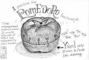 the pomodoro cycle