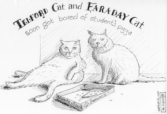 Telford Cat & Faraday Cat