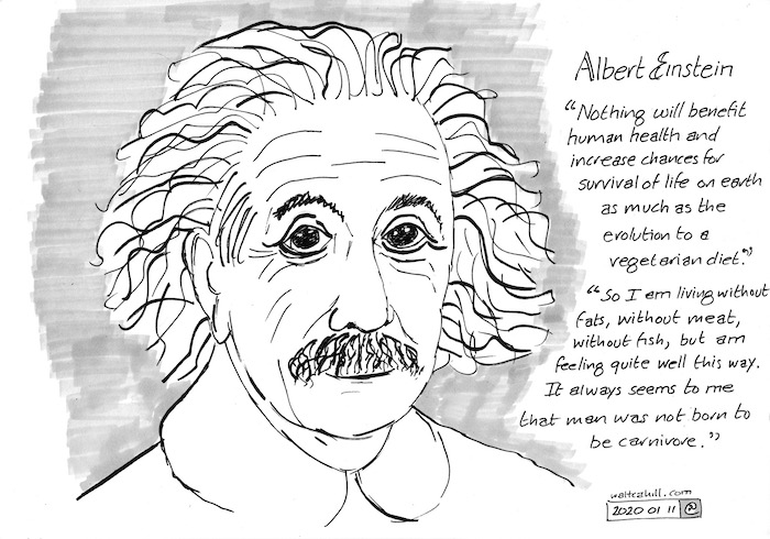Albert Einstein: Vegetarian