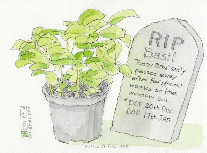 RIP Basil