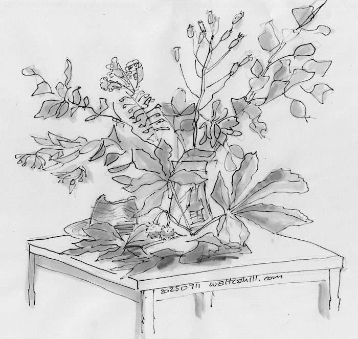 Two Conkers (prep sketch)