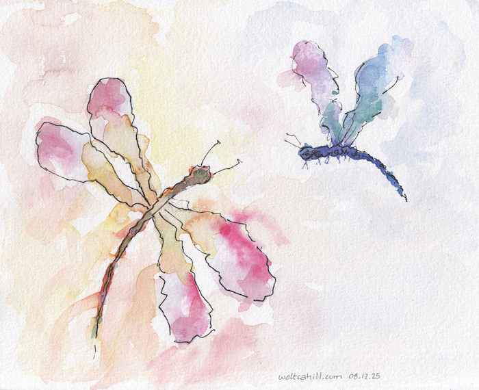 Dragonflies