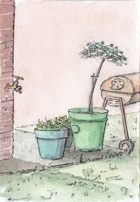 Garden Pots