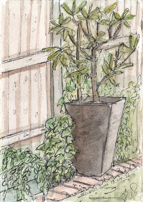 The Square Plant Pot